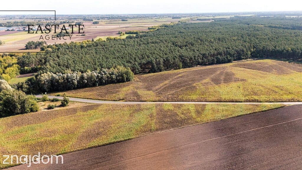 Działka dla osób szukających ciszy i natury - zdjęcie 5