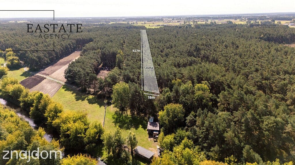 Na sprzedaż hektar działki leśnej