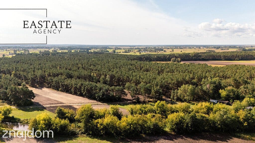 Na sprzedaż hektar działki leśnej - zdjęcie 2