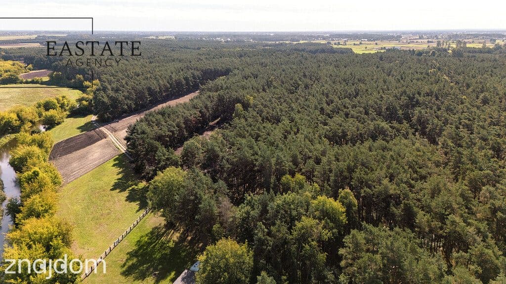 Na sprzedaż hektar działki leśnej - zdjęcie 5