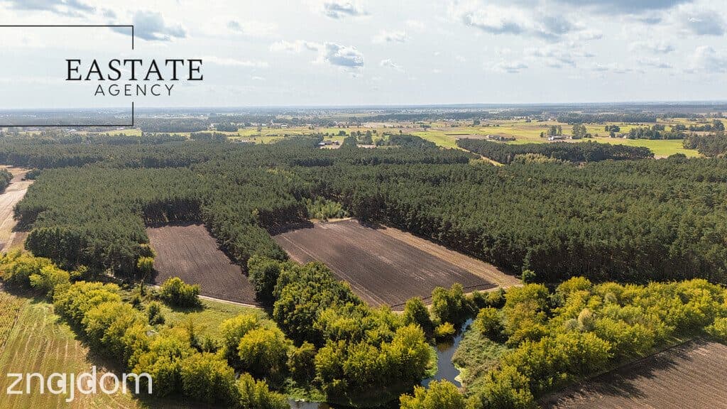 Działka leśno rolna o powierzchni 1.35ha - zdjęcie 2
