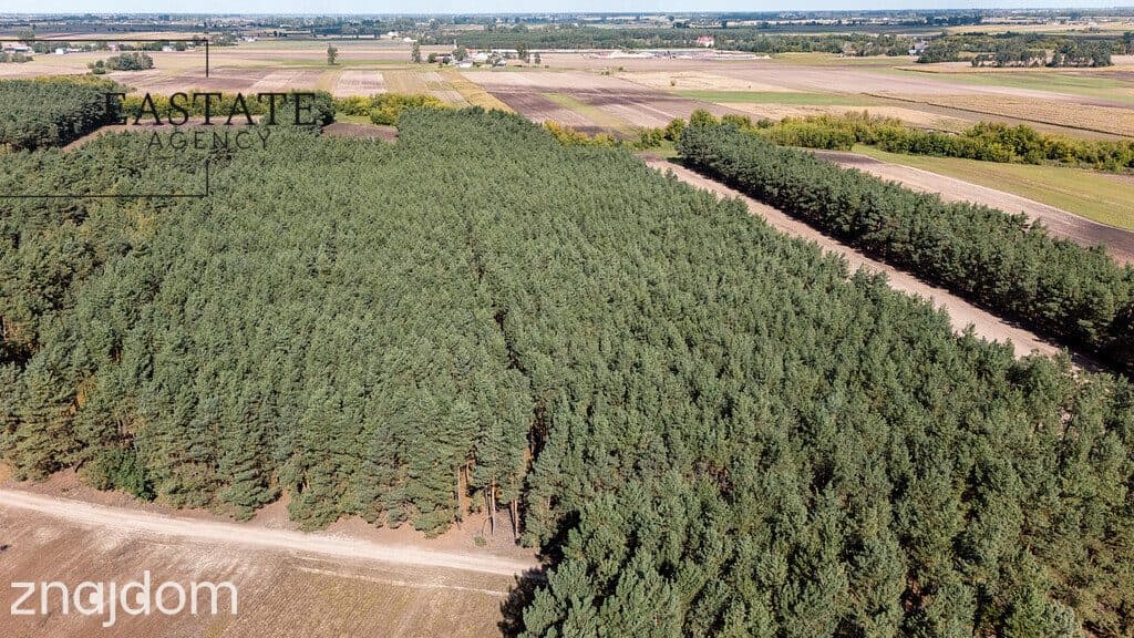 Działka leśno rolna o powierzchni 1.35ha - zdjęcie 3
