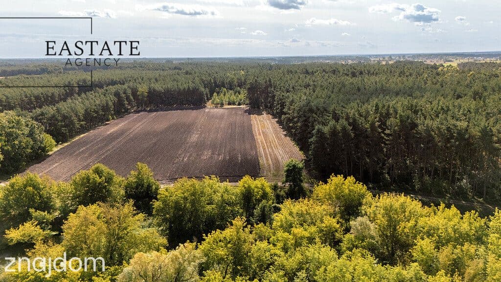 Działka leśno rolna o powierzchni 1.35ha - zdjęcie 4