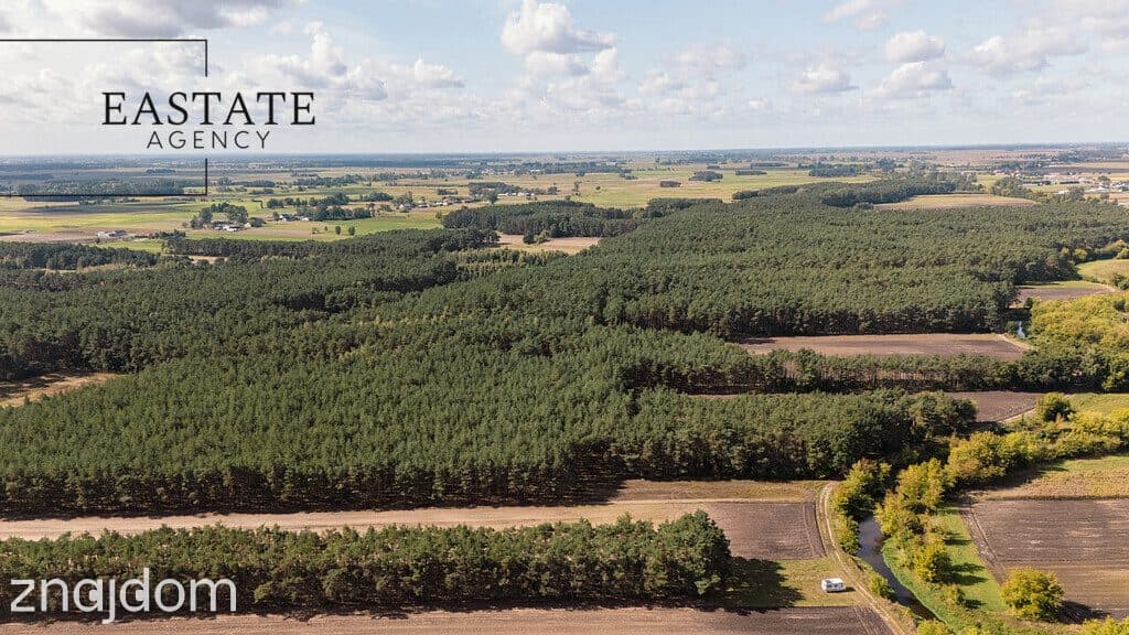 Działka leśno rolna o powierzchni 1.35ha - zdjęcie 5