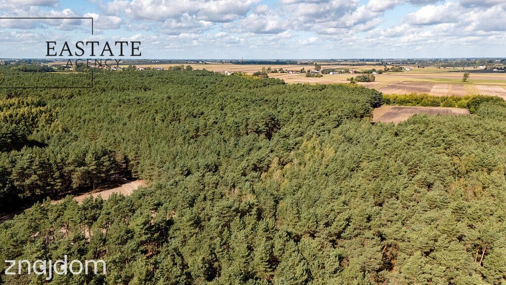 Działka leśno rolna o powierzchni 1.35ha - zdjęcie 6