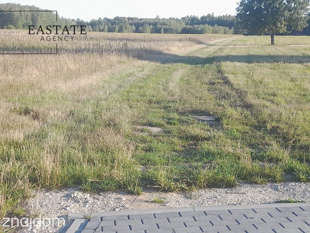 Dobry dojazd | przy lesie | malownicza okolica - zdjęcie 4