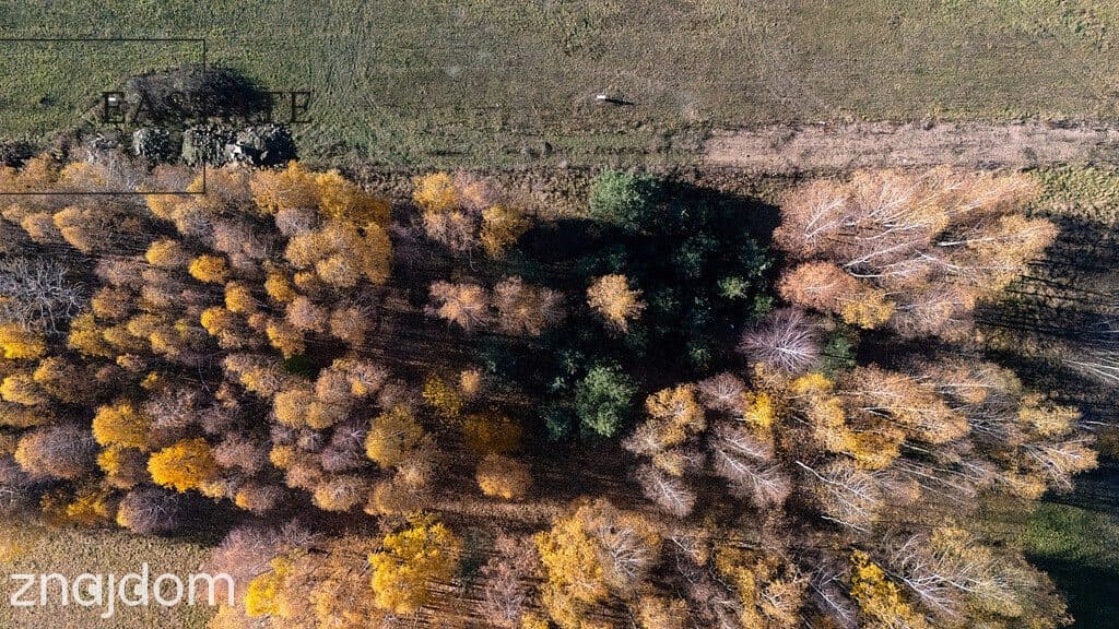 Działka budowlana w Kaleń Towarzystwo - zdjęcie 3