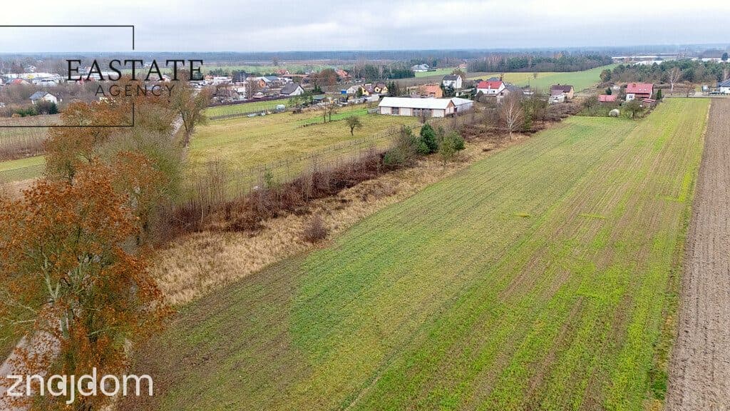 Działka 3700 m²/zabudowa jednorodzinna - zdjęcie 5