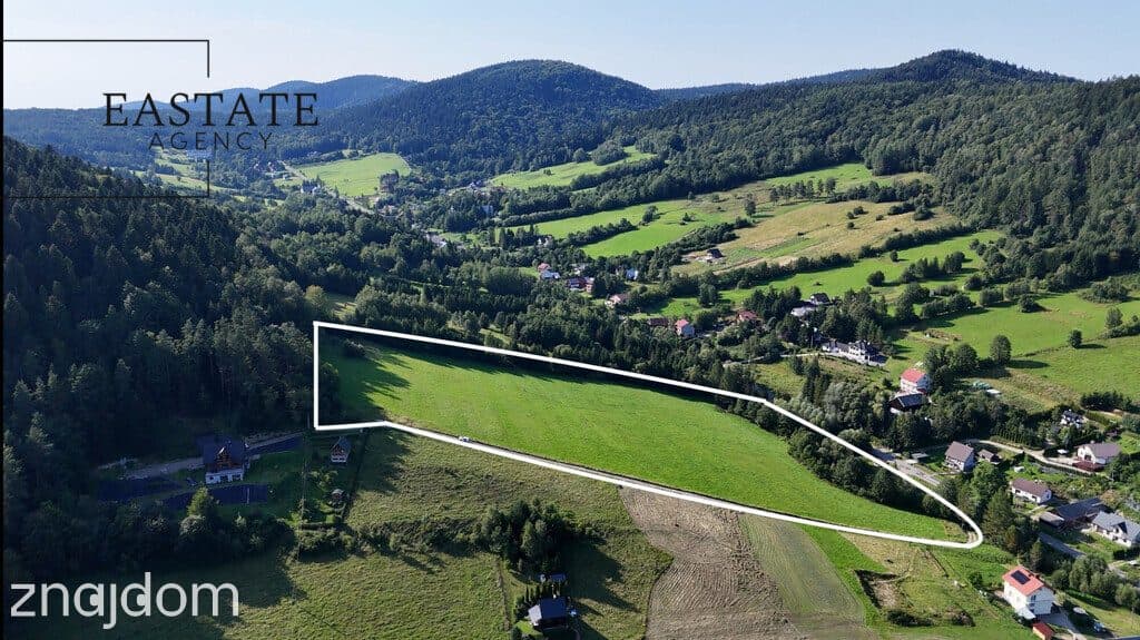 Grunt 3,35 ha – możliwy podział | MPZP | Kamianna - zdjęcie 3