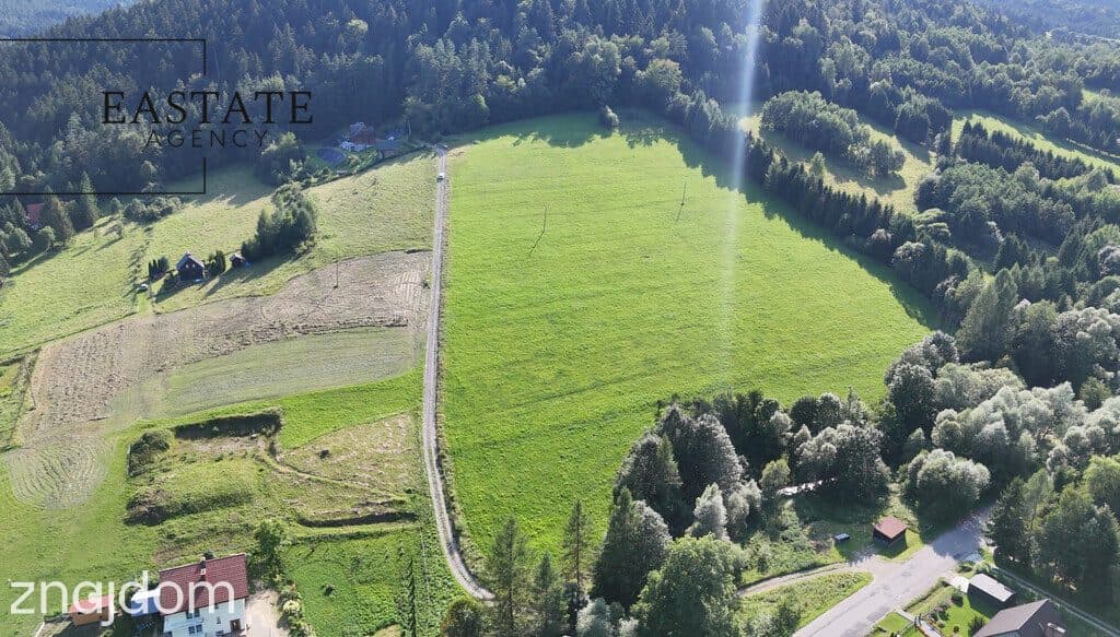 Grunt 3,35 ha – możliwy podział | MPZP | Kamianna - zdjęcie 4