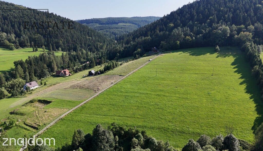 Grunt 3,35 ha – możliwy podział | MPZP | Kamianna - zdjęcie 5