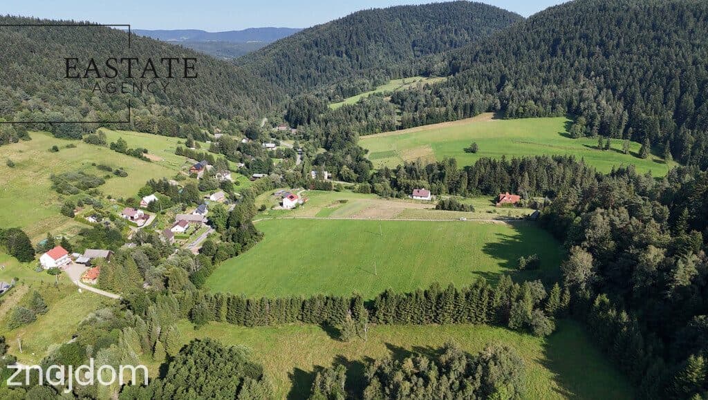 Grunt 3,35 ha – możliwy podział | MPZP | Kamianna - zdjęcie 8