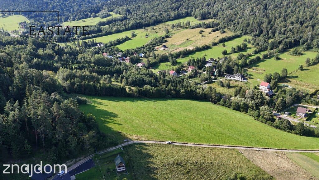 Grunt 3,35 ha – możliwy podział | MPZP | Kamianna - zdjęcie 9