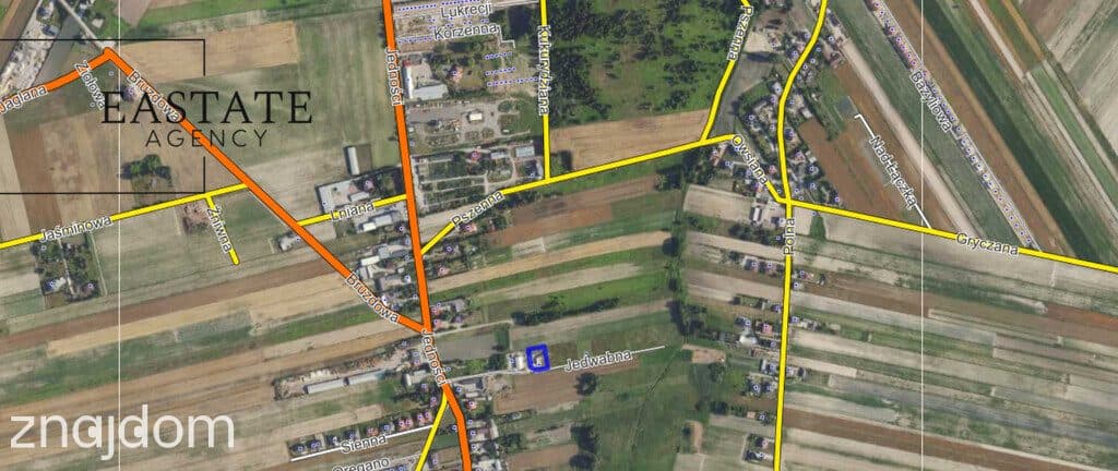 Janczewice - działka z domkiem i garażem - zdjęcie 11