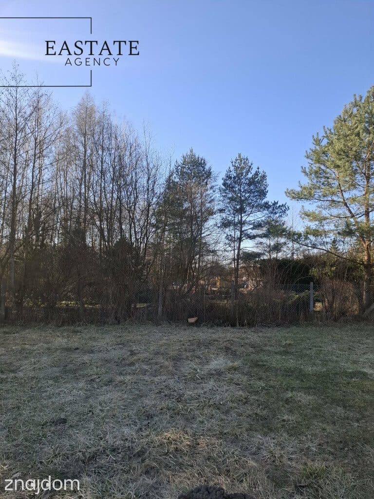 Działka budowlana - las, cisza, natura - zdjęcie 8