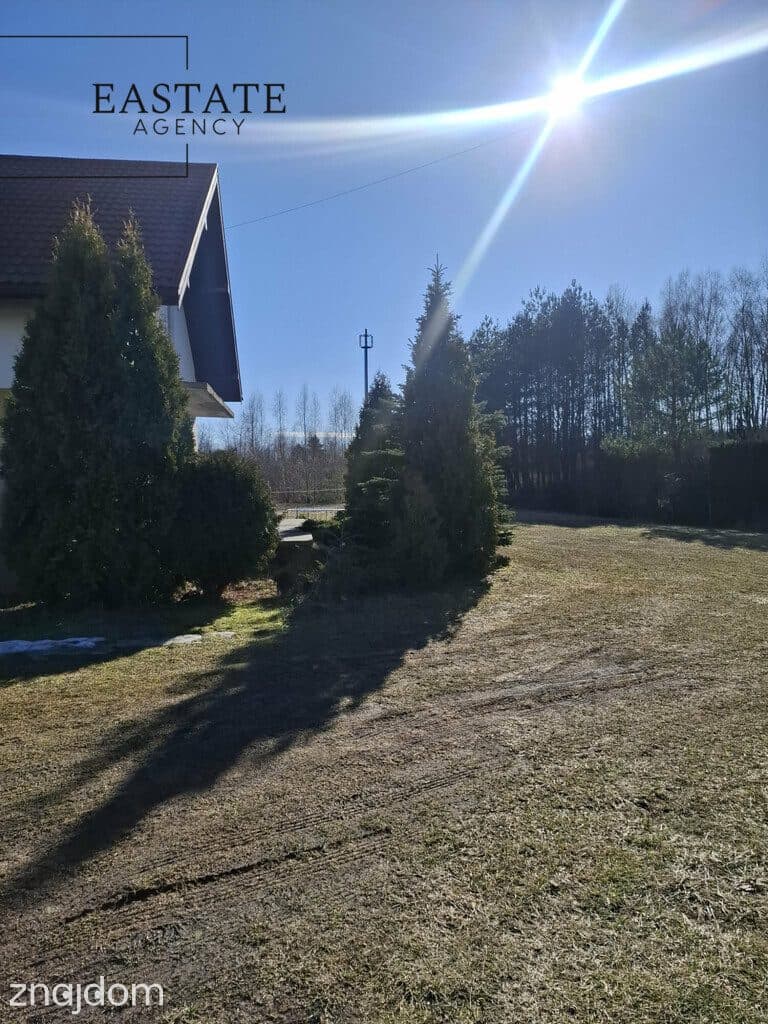 Działka budowlana - las, cisza, natura - zdjęcie 9