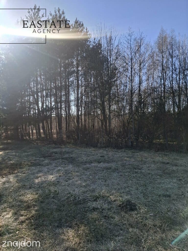 Działka budowlana - las, cisza, natura - zdjęcie 10