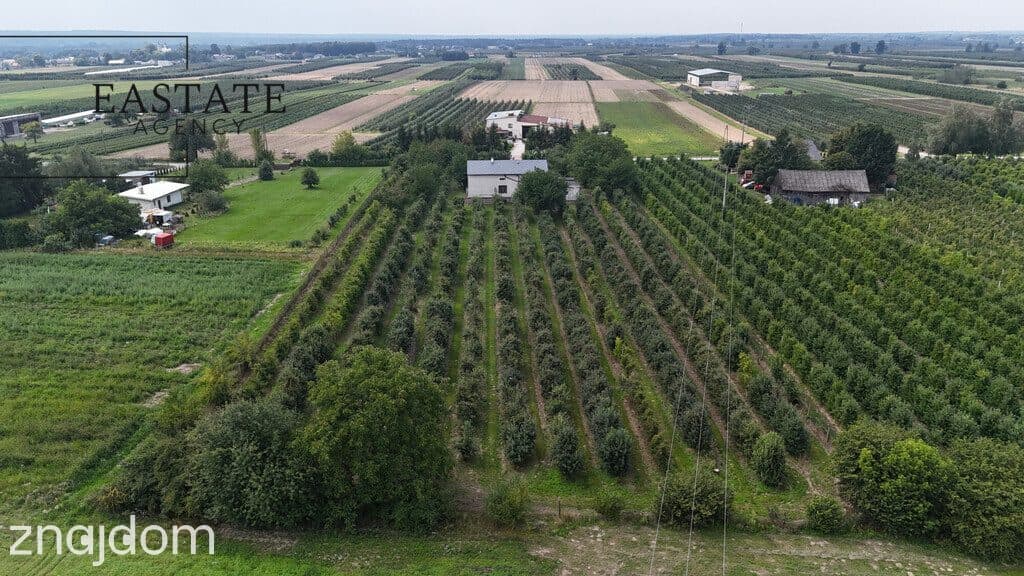Na sprzedaż działka 0,9 ha z domem 280 m² – Świdno - zdjęcie 3