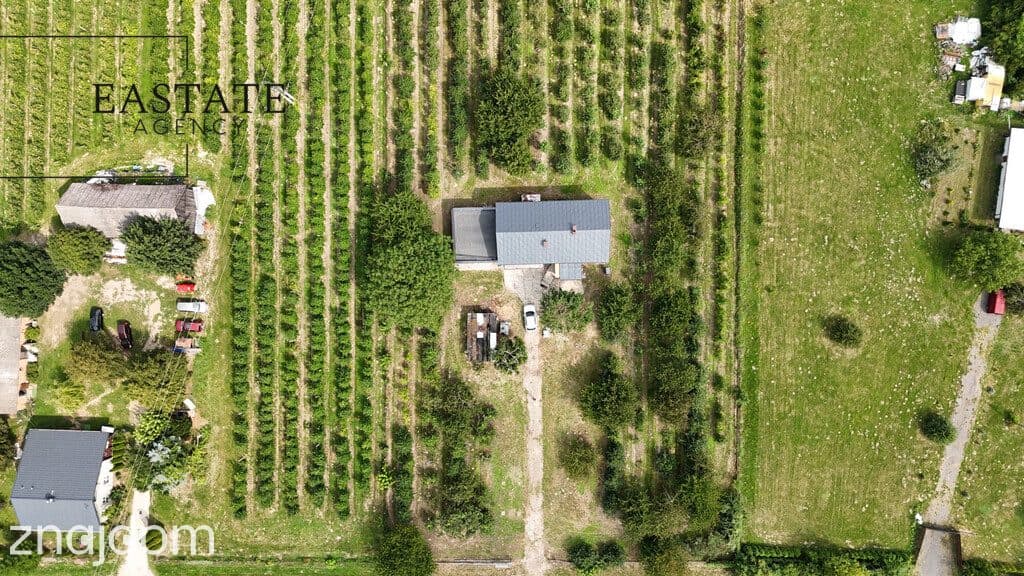 Na sprzedaż działka 0,9 ha z domem 280 m² – Świdno - zdjęcie 7