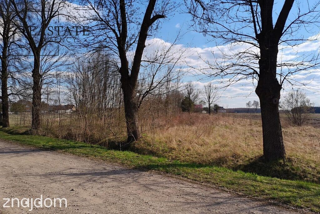 Działka 3700 m²/zabudowa jednorodzinna - zdjęcie 3