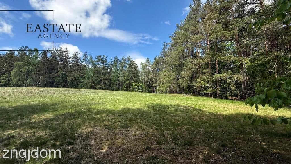 Działka w otulinie lasów | Trzy Rzeki, Kaszuby | - zdjęcie 13