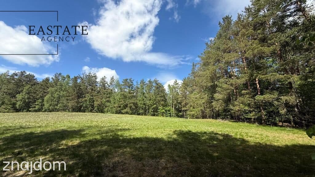 Działka w otulinie lasów | Trzy Rzeki, Kaszuby | - zdjęcie 14
