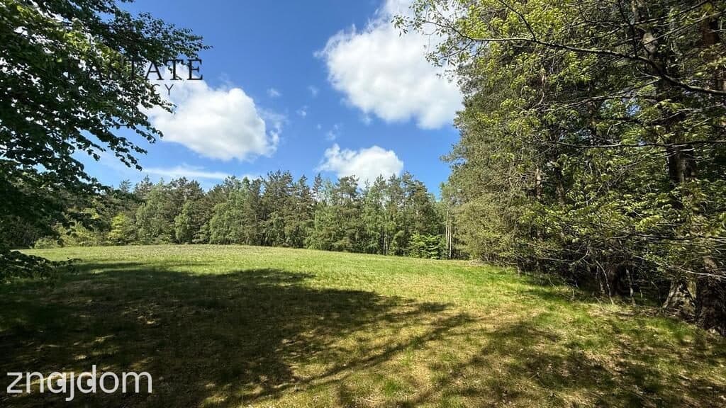 Działka w otulinie lasów | Trzy Rzeki, Kaszuby | - zdjęcie 17