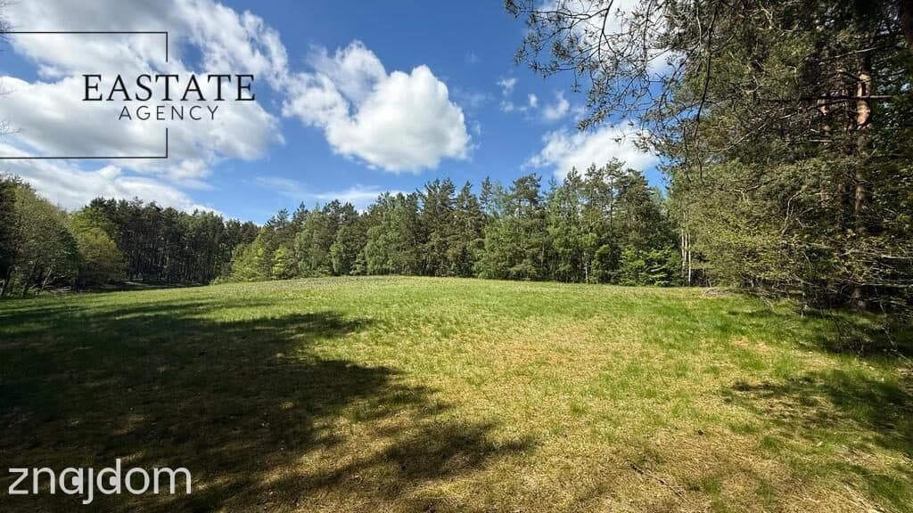 Działka w otulinie lasów | Trzy Rzeki, Kaszuby | - zdjęcie 19