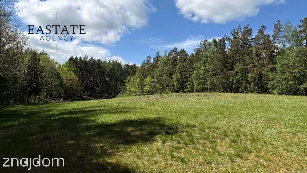 Działka w otulinie lasów | Trzy Rzeki, Kaszuby | - zdjęcie 20
