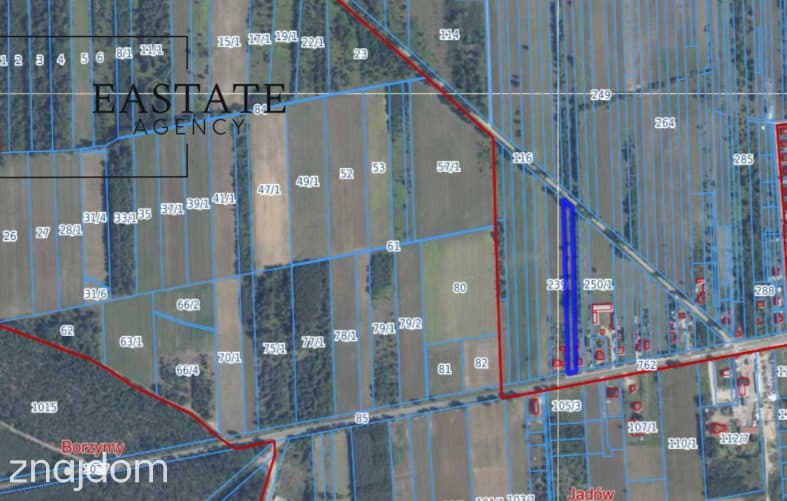 Działka 3700 m²/zabudowa jednorodzinna - zdjęcie 12