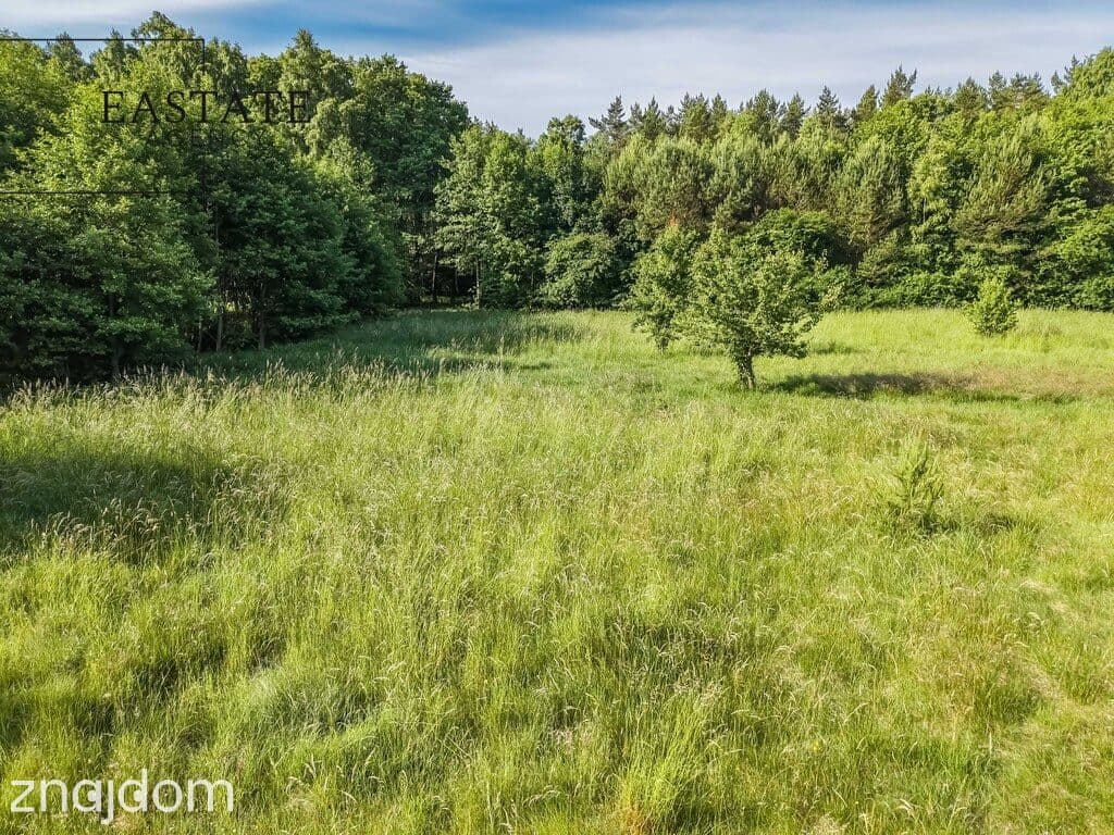 Działka Białogóra | morze | las | MPZP | media - zdjęcie 19