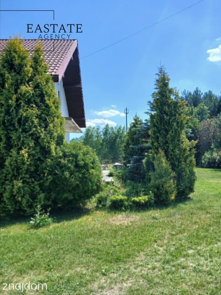 Działka budowlana - las, cisza, natura - zdjęcie 5