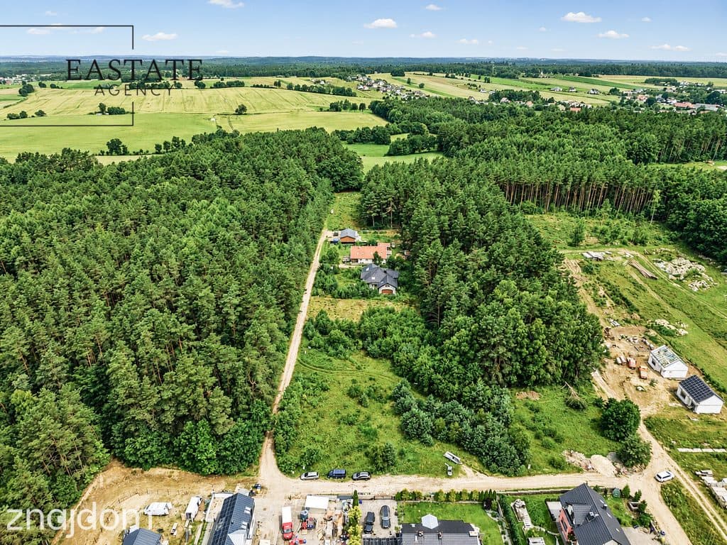 Działka z WZ w Leśniewie - zdjęcie 13