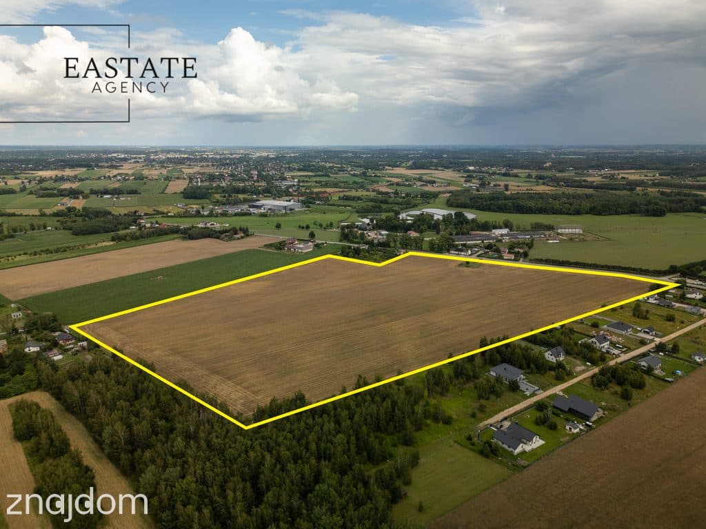 14,25 ha | MPZP | Blisko CPK | Inwestycja - zdjęcie 3