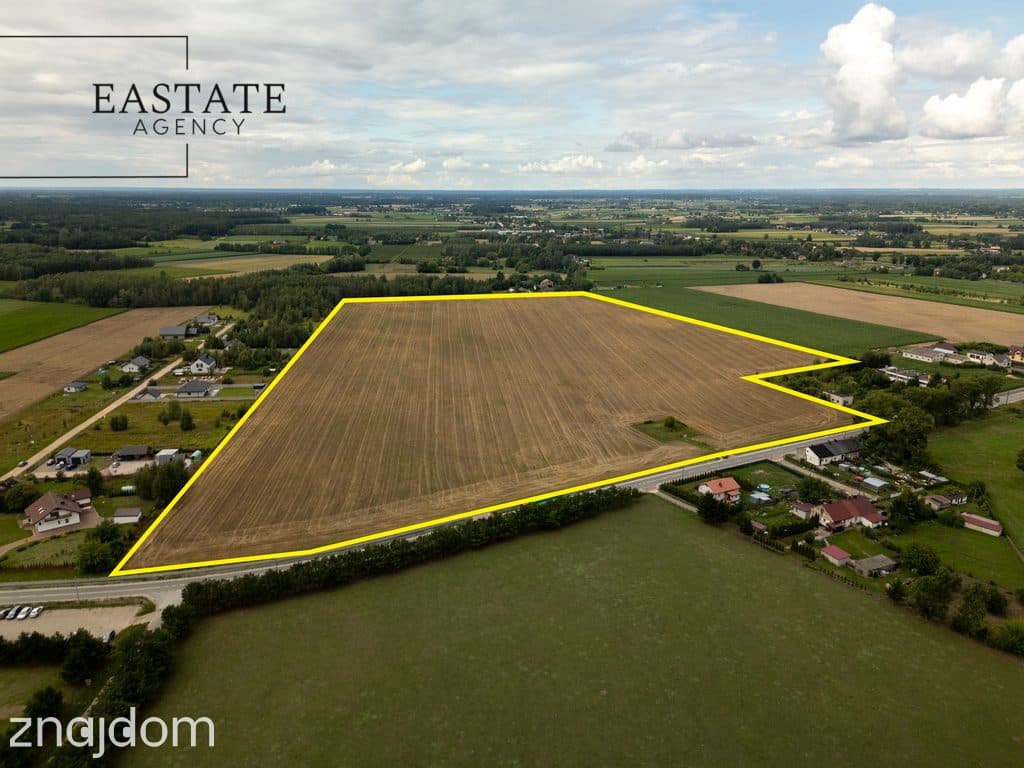 14,25 ha | MPZP | Blisko CPK | Inwestycja - zdjęcie 4