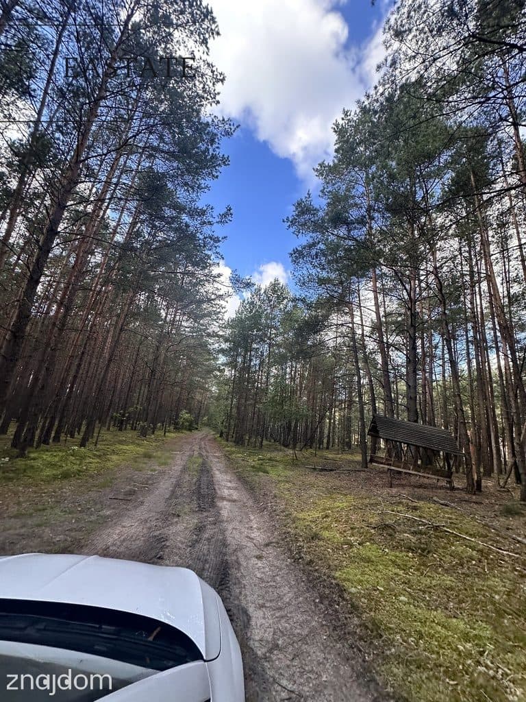 Działka całkowicie zalesiona z dostępem do rzeki - zdjęcie 4