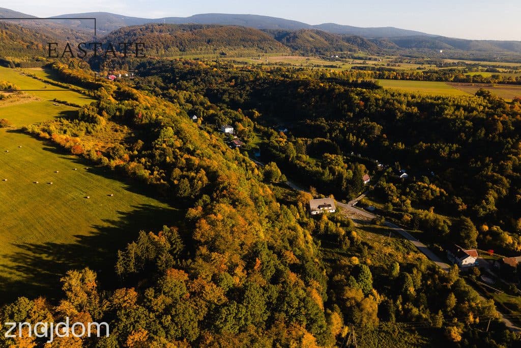 działka budowlana 3000m² | Wilkanów - zdjęcie 3