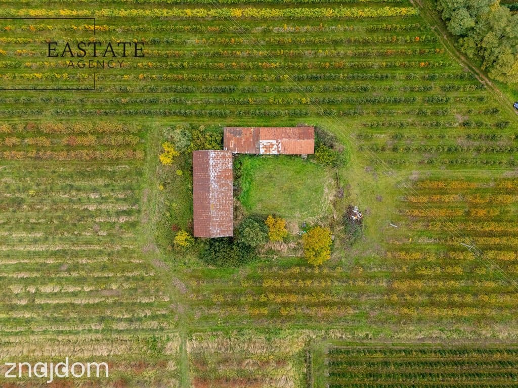 Siedlisko o dużym potencjale – 3 500 m² w Kozielu, - zdjęcie 3