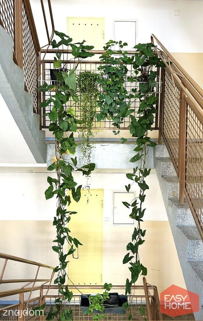 Przy Malcie, balkon, niski blok, Przemysława - zdjęcie 19