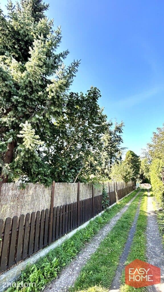 super działka ROD 604 m2 i domek 50 m2 Bukowska - zdjęcie 15