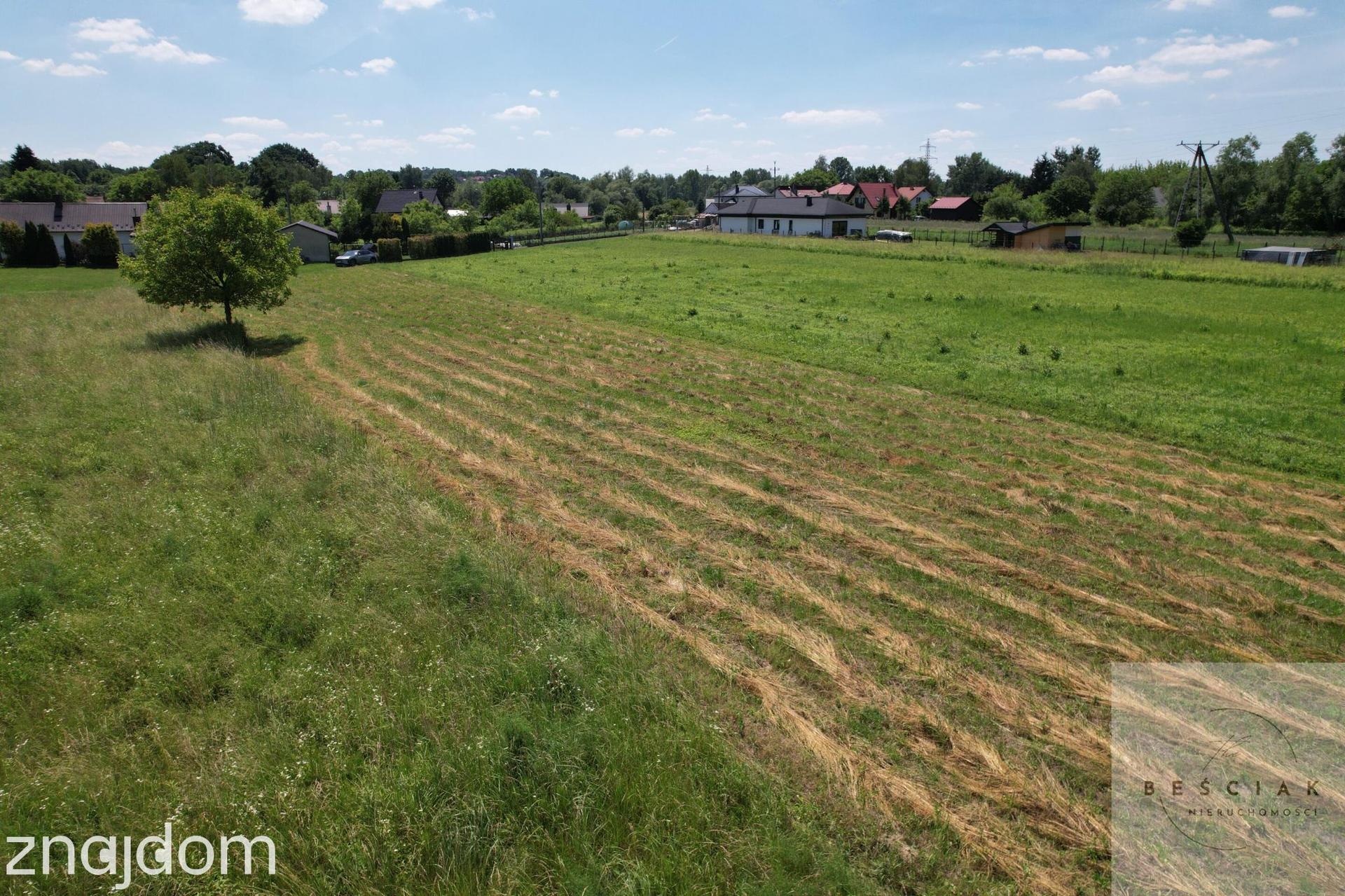 🌿 Wyjątkowa działka z warunkami zabudowy – 26 arów | Kępa Bogumiłowicka - zdjęcie 10