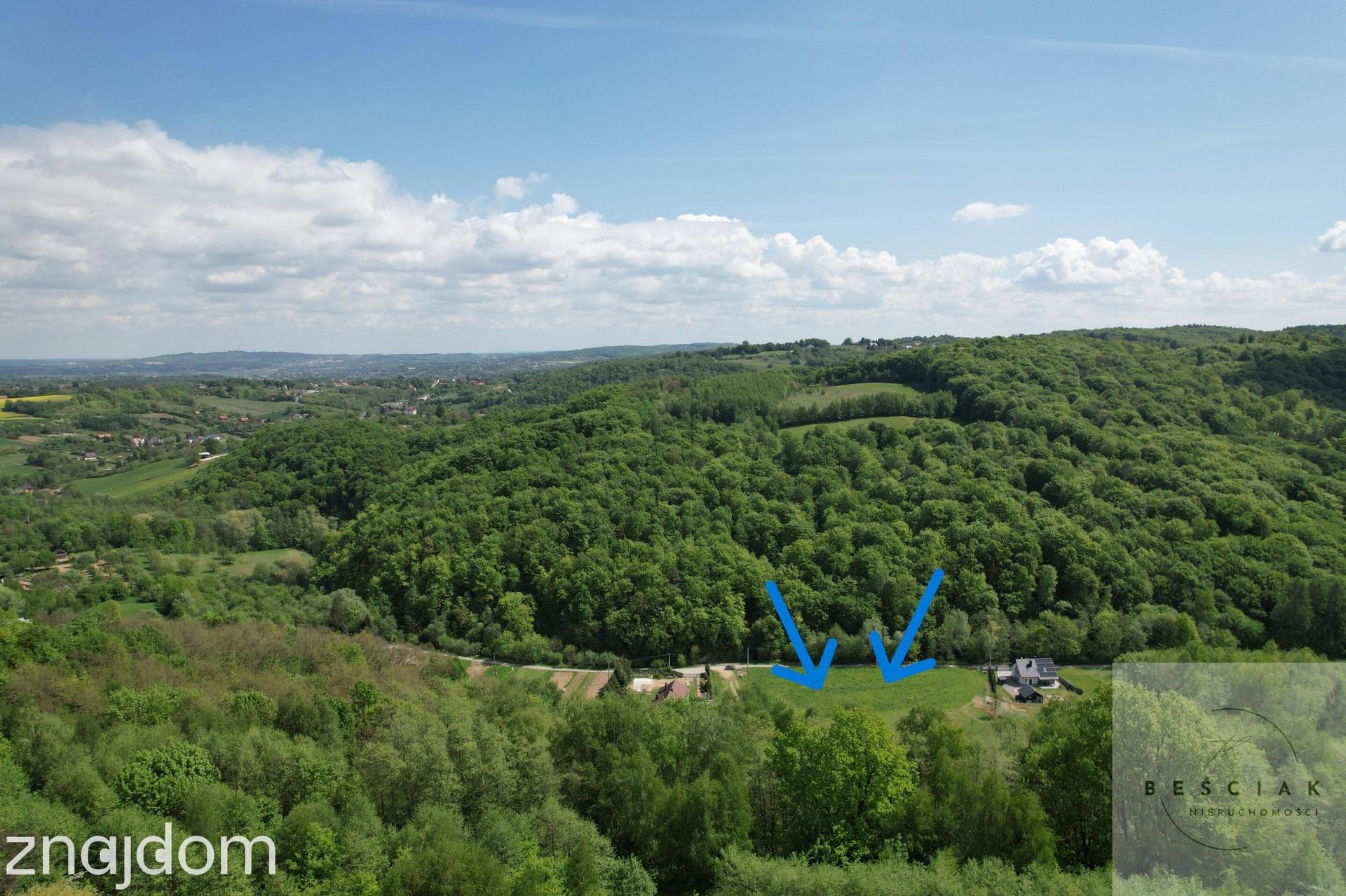 Szczepanowice - 4 działki przy lesie
