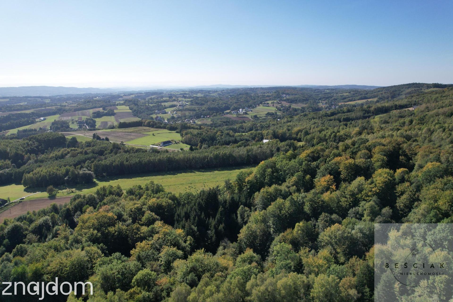 Działka po starym siedlisku 1,67 ha z lasem! - zdjęcie 2