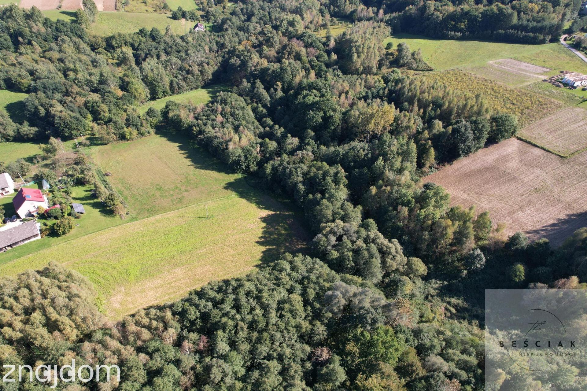 Działka po starym siedlisku 1,67 ha z lasem! - zdjęcie 7