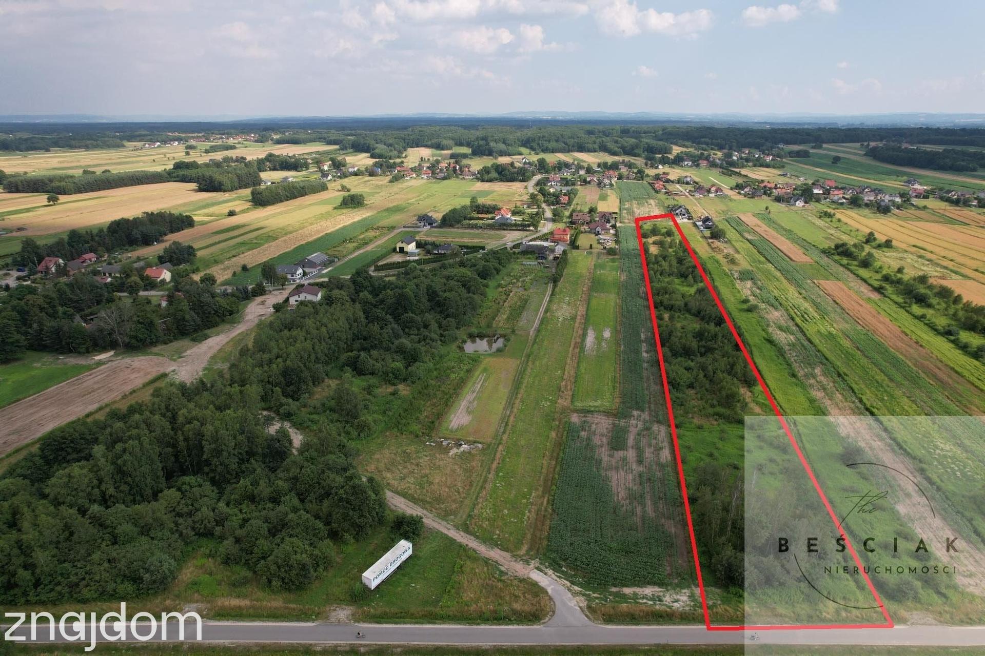 🏡 Na sprzedaż działka o powierzchni 1,44 ha – Zaczarnie, gm. Lisia Góra - zdjęcie 6