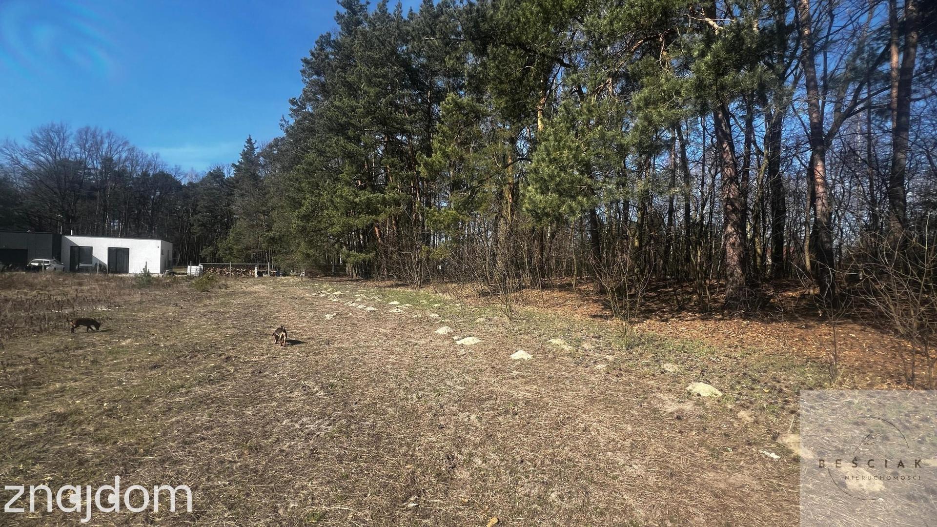 Działka z potencjałem pod bliźniak – 9 arów spokoju blisko stawów | media, warunki zabudowy - zdjęcie 11