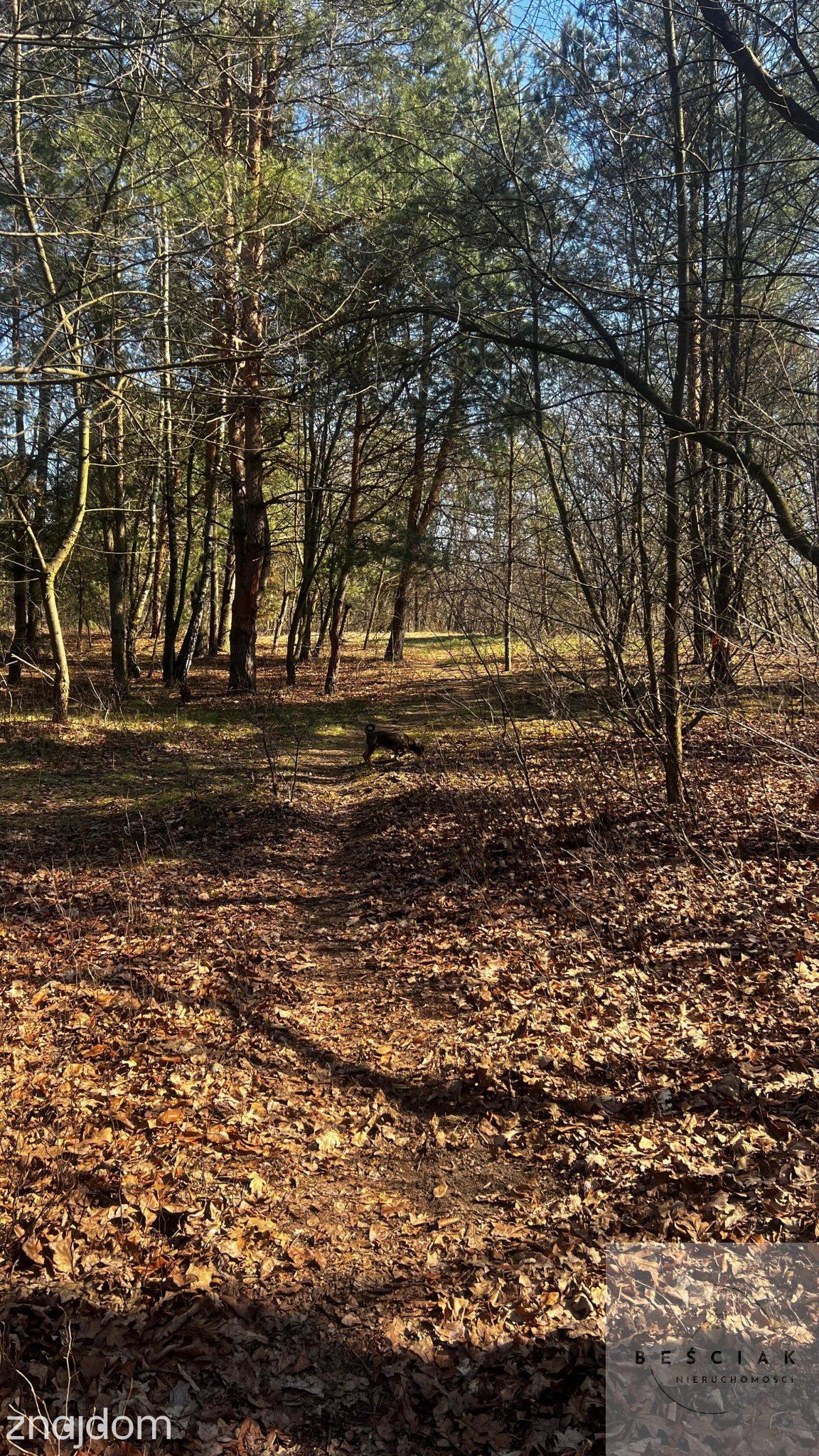Działka z potencjałem pod bliźniak – 9 arów spokoju blisko stawów | media, warunki zabudowy - zdjęcie 7