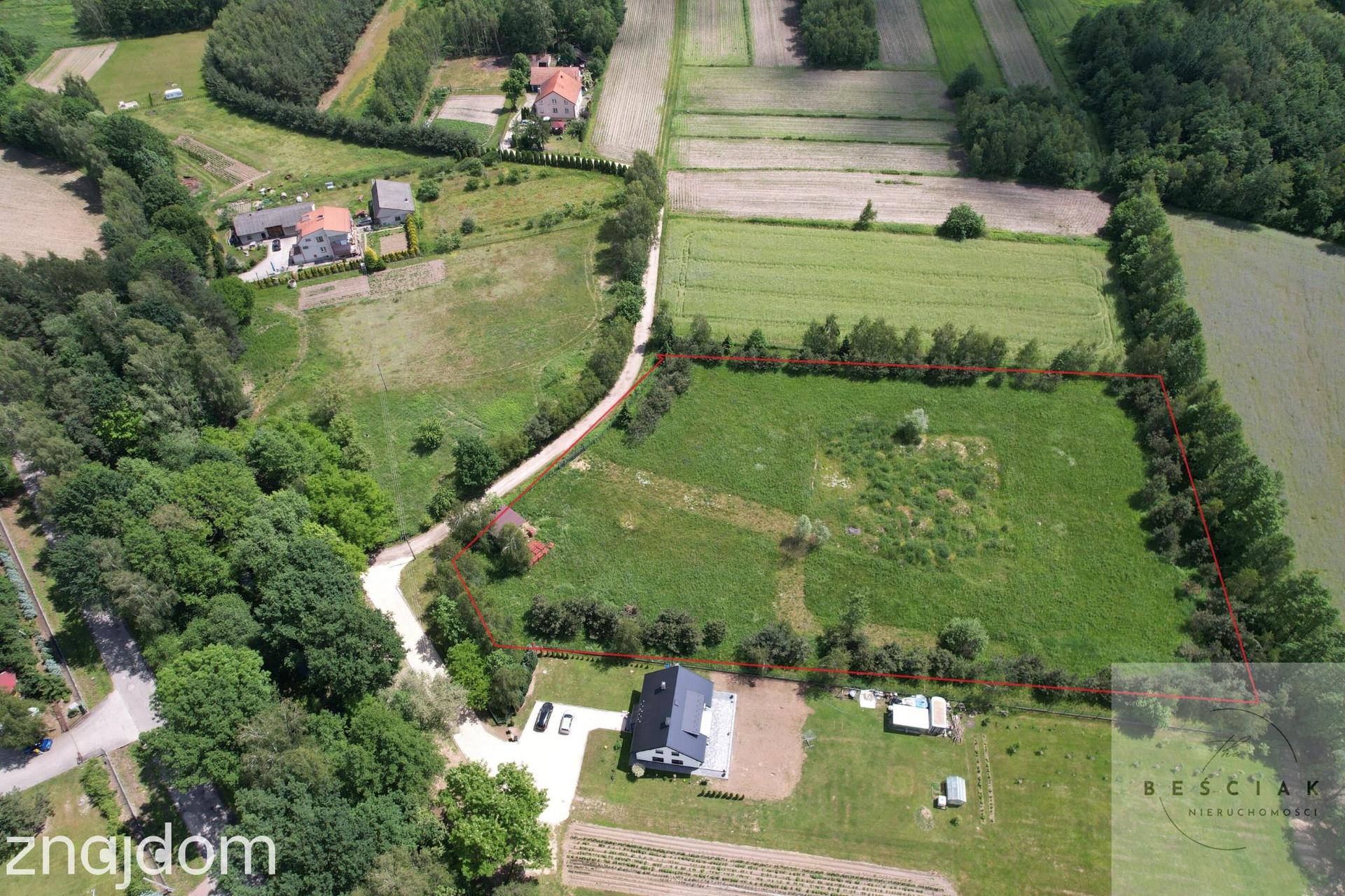 🏡 DZIAŁKA INWESTYCYJNA Z WARUNKAMI ZABUDOWY NA 8 DOMÓW - zdjęcie 2