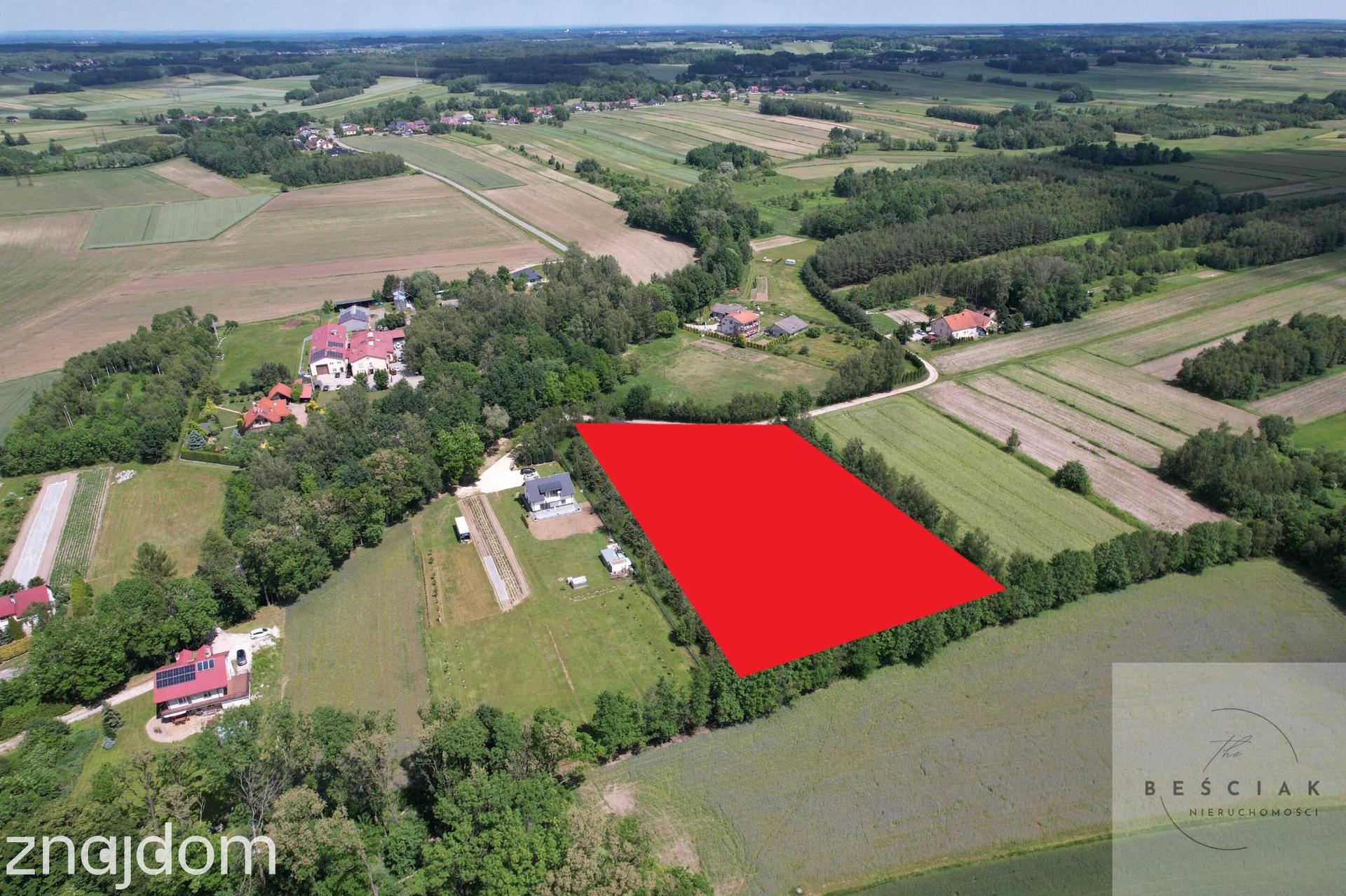 🏡 DZIAŁKA INWESTYCYJNA Z WARUNKAMI ZABUDOWY NA 8 DOMÓW - zdjęcie 3