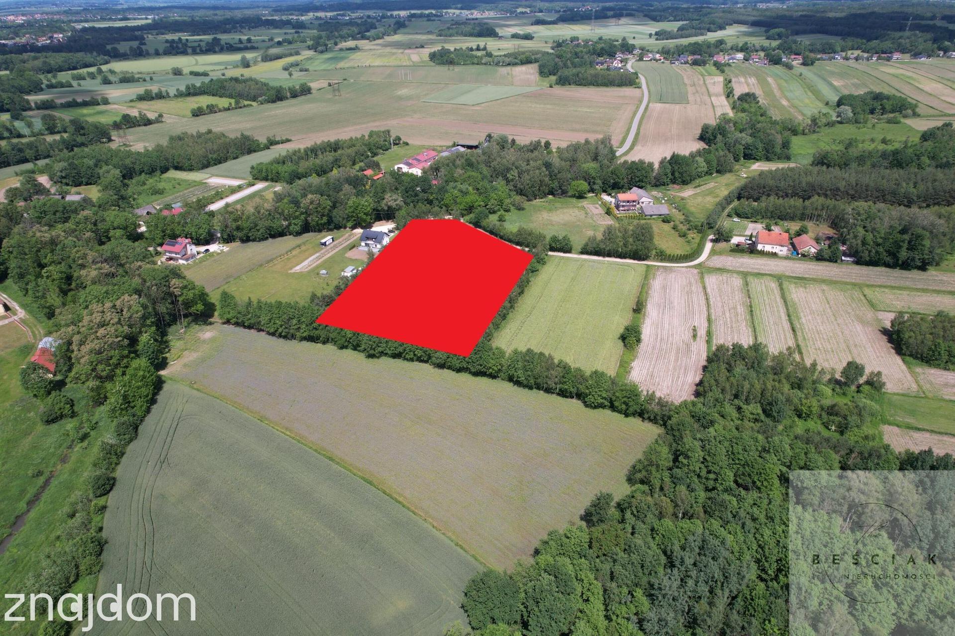 🏡 DZIAŁKA INWESTYCYJNA Z WARUNKAMI ZABUDOWY NA 8 DOMÓW - zdjęcie 4